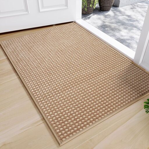 QiCaiJia Front Door Mat 17"x30"