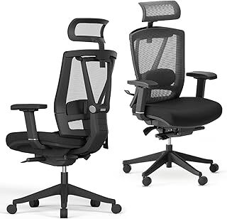 AUTONOMOUS ErgoChair Pro