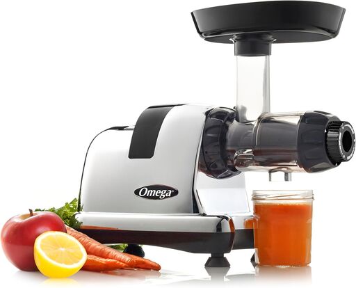 Omega J8006HDS Cold Press Juicer