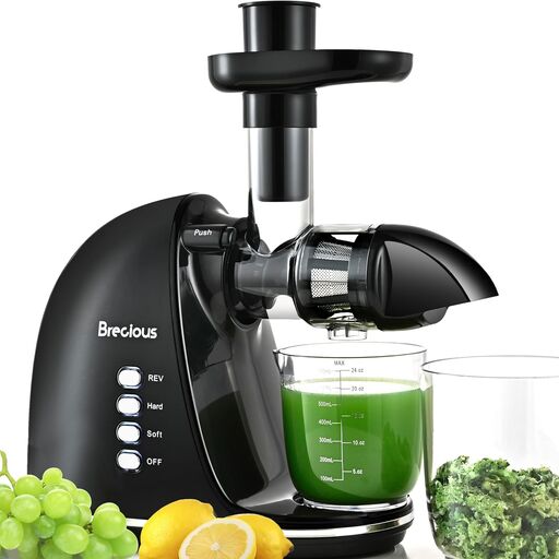 Brecious Slow Masticating Juicer