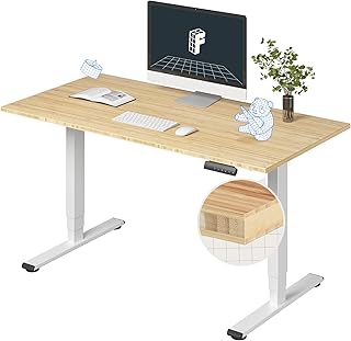 FlexiSpot E6 Bamboo Standing Desk 55 x 28