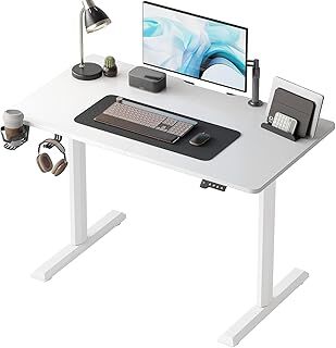 FEZIBO Height Adjustable Electric Standing Desk