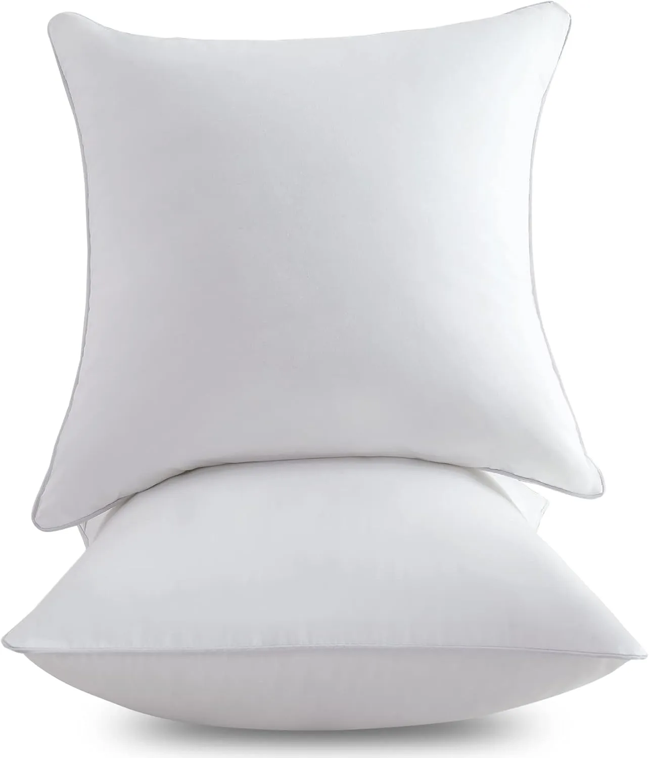 FAVRIQ 18 x 18 Pillow Inserts (Set of 2)