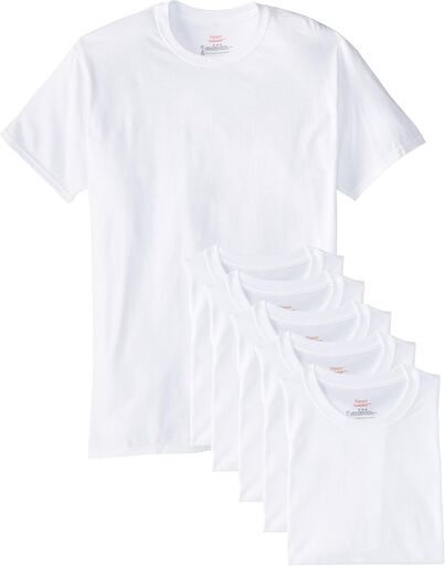 Hanes Men's Blue Label Crew T-Shirt