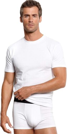 Stafford Dry + Cool Breathable Mesh Crew Neck T-Shirt 4 Pack