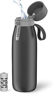 Philips GoZero Everyday Insulated Water Bottle with Filter